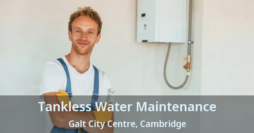 Tankless Water Maintenance Galt City Centre, Cambridge - ON Tankless Water Maintenance Galt City Centre, Cambridge - ON